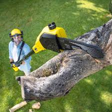 Best Soil Testing and Treatment  in Bethlehem, WV